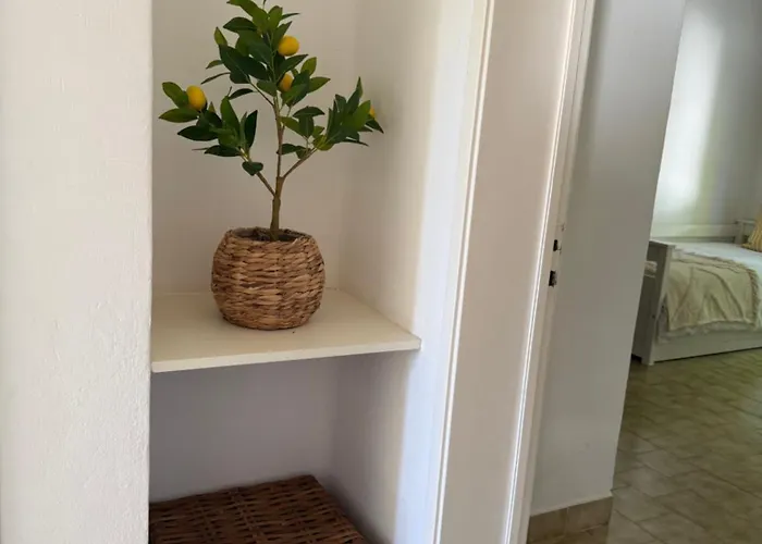 Lemon House - Sao Rafael Apartment *